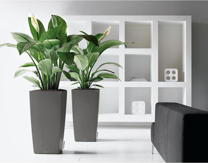 Produktbild Lechuza Cubico (50 cm)