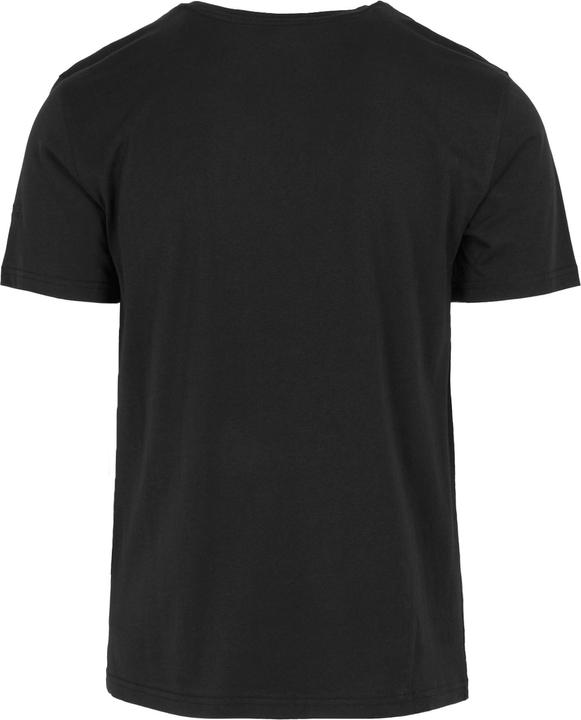 Actual product image Regatta Mens Cline IX Mountain T-Shirt (S)