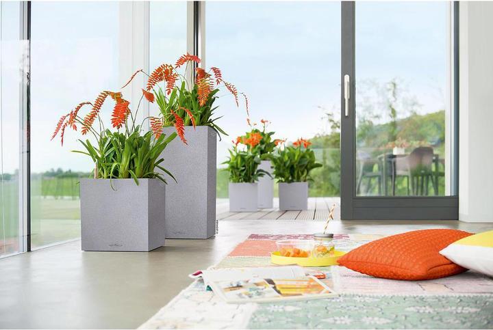 Actual product image Lechuza Planter Canto Stone 30 High (30 x 30 x 56.80 cm)