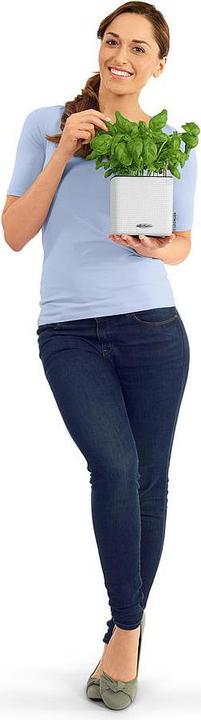 Produktbild Lechuza Cube (14 x 14 x 13.50 cm)