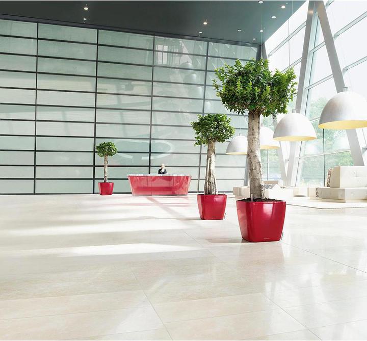 Produktbild Lechuza Quadro LS (50 x 50 x 46.50 cm)