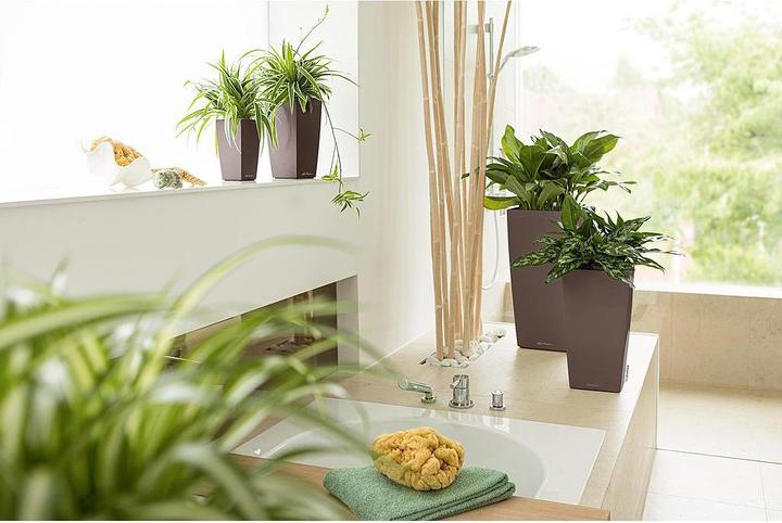 Actual product image Lechuza Planter Cubico Premium 22 Brown (22 cm)