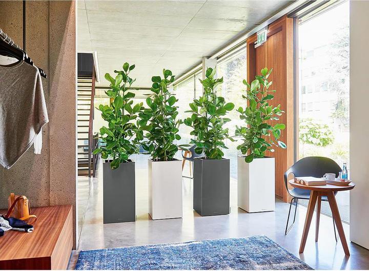 Produktbild Lechuza CANTO Premium 40 metallic (40 x 40 x 75 cm)
