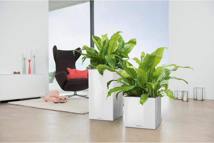Produktbild Lechuza CANTO Premium 40 metallic (40 x 40 x 75 cm)