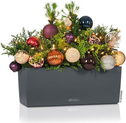 Actual product image Lechuza Balconera Color (19 cm)