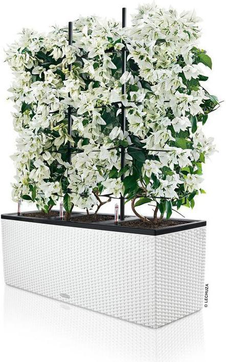 Actual product image Lechuza Trio Cottage (42 cm)