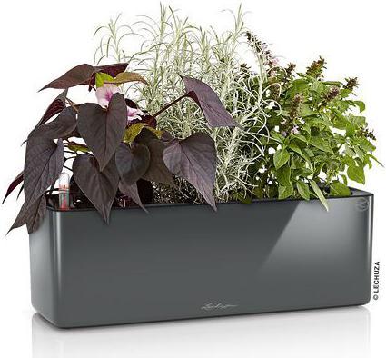 Image du produit Lechuza Cube Glossy Triple (40 x 14 x 13.50 cm)