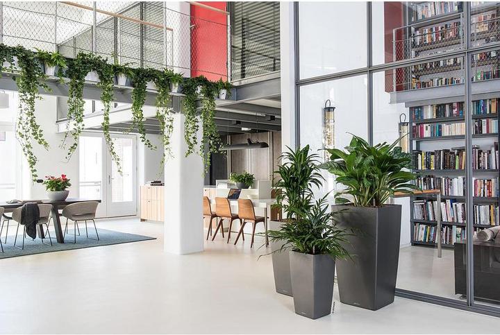 Produktbild Lechuza Cubico (29.50 cm)