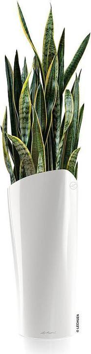 Actual product image Lechuza Delta (39 x 75.50 cm)