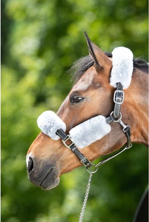 Produktbild HFI Master Scheide für Halfter