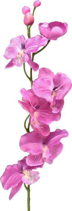 Viana Orchidee Phalaenopsis knstlich 6 Blten Lila - buy at Galaxus -  Galaxus