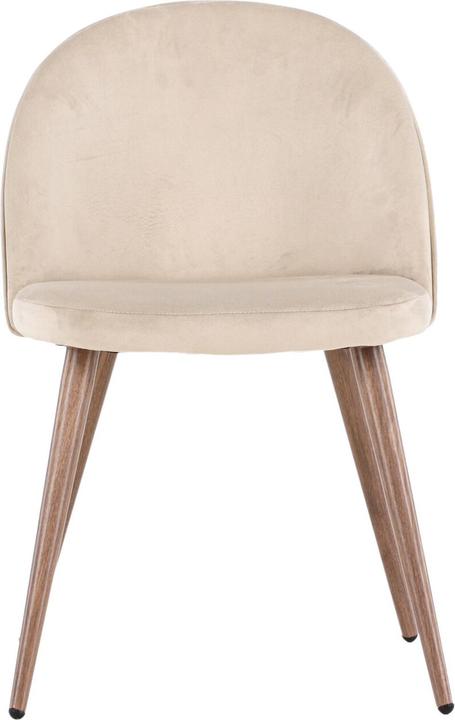 Immagine prodotto Venture Home Velluto