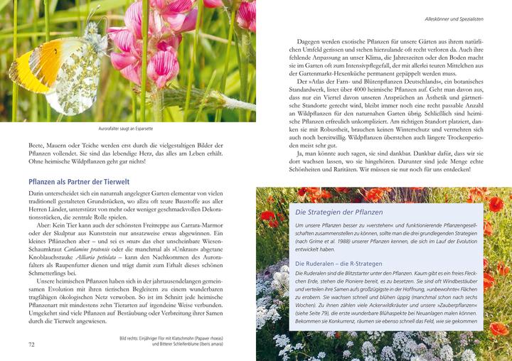 Produktbild Mein Garten wird ein Naturgarten (Deutsch, Helbig, Birgit, 2024)