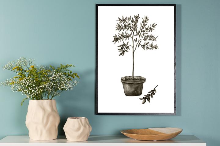 Image du produit Venture Home Olive