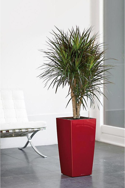 Produktbild Lechuza Cubico (22 cm)