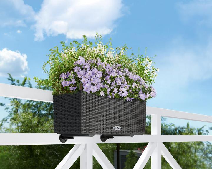 Actual product image Lechuza Balconera Cottage (19 cm)