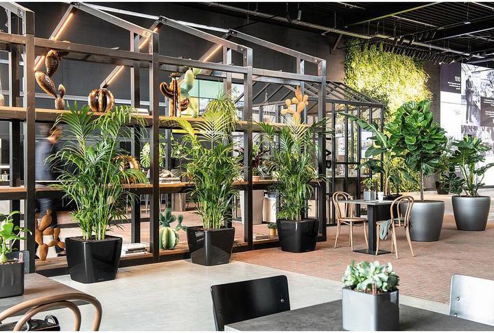 Actual product image Lechuza Quadro LS (35.50 x 35.50 x 32.50 cm)