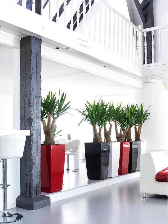 Produktbild Lechuza Cubico 30 (29.50 cm)