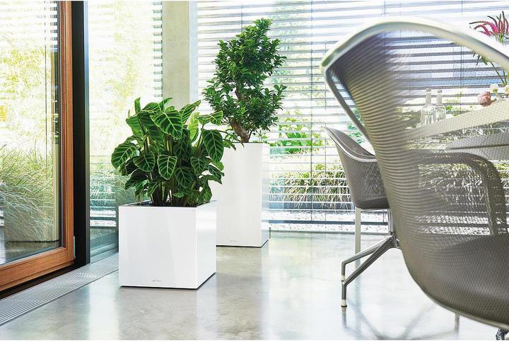 Productafbeelding Lechuza CANTO Premium 40 laag wit hoogglans (40 x 40 x 40 cm)
