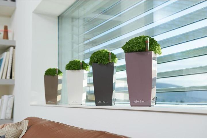 Produktbild Lechuza Maxi Cubi (14 cm)