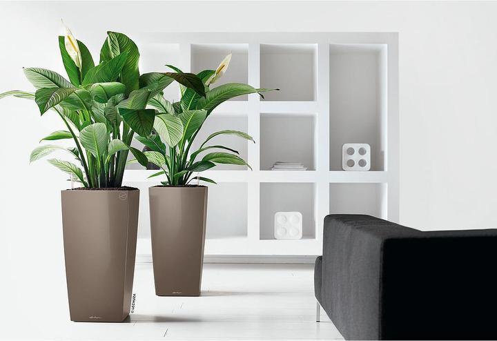 Actual product image Lechuza Cubico vessel (22 x 22 x 41 cm)