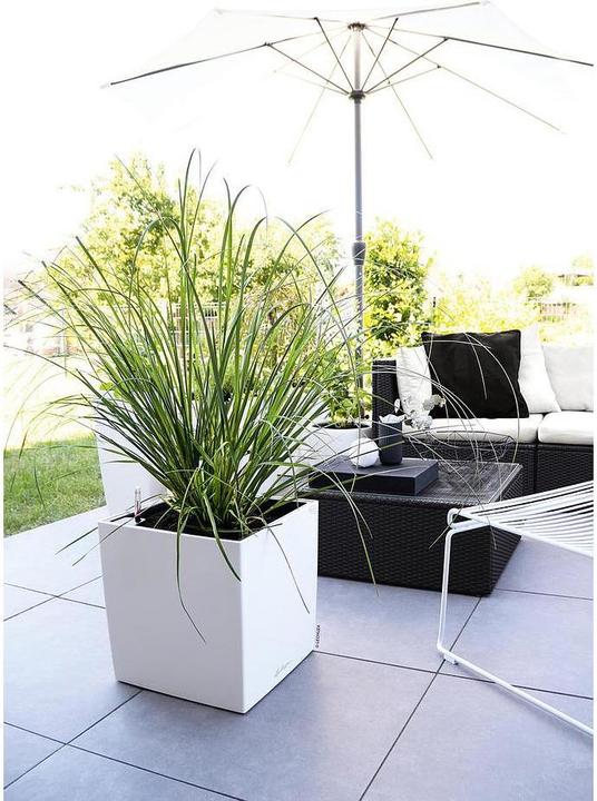 Produktbild Lechuza Cube 30 (29.50 x 29.50 x 30 cm)