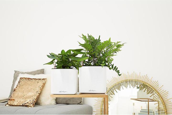 Produktbild Lechuza Cube Glossy 16 (16 x 16 x 16 cm)