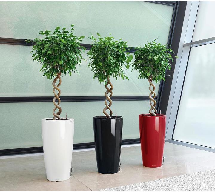 Produktbild Lechuza Rondo (40 cm)