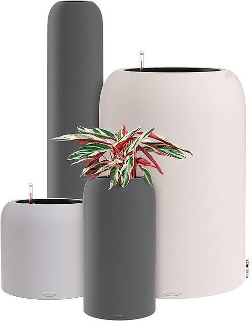 Actual product image Lechuza Havalo 60 (59 cm)
