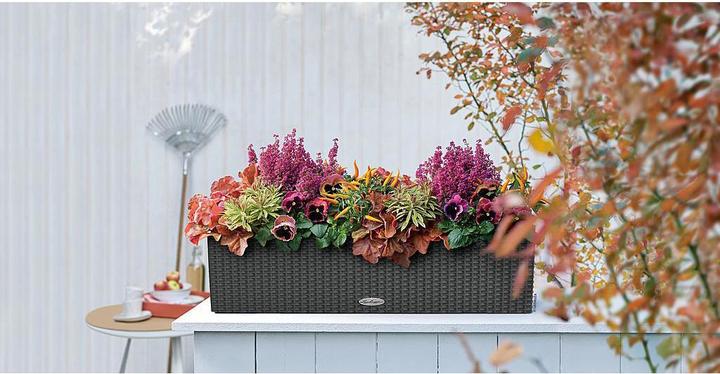 Actual product image Lechuza Balconera Cottage (19 cm)