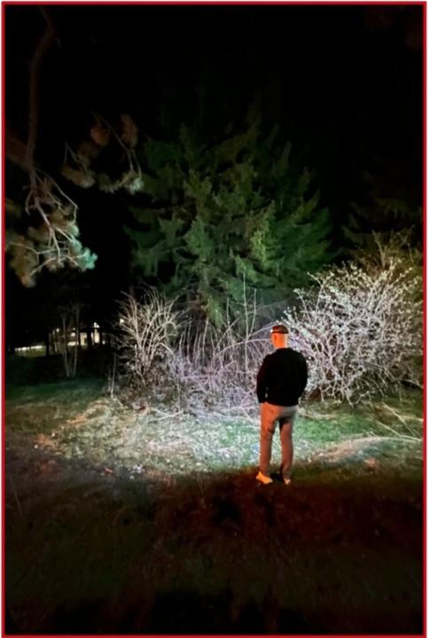 Immagine prodotto KS Tools 270° All'aperto (350 lm)