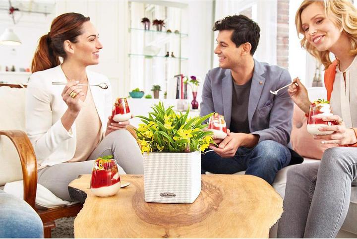 Actual product image Lechuza Cube Color (17 cm)