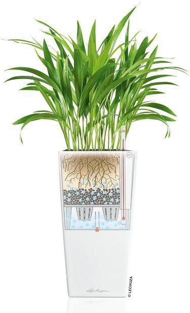 Actual product image Lechuza Cubico (39.50 cm)