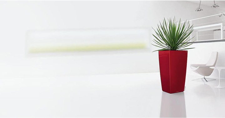 Actual product image Lechuza Cubico (39.50 cm)