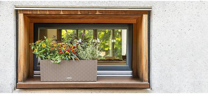 Actual product image Lechuza Flowerpot Balconera Cottage 50 (50 x 19 x 19 cm)