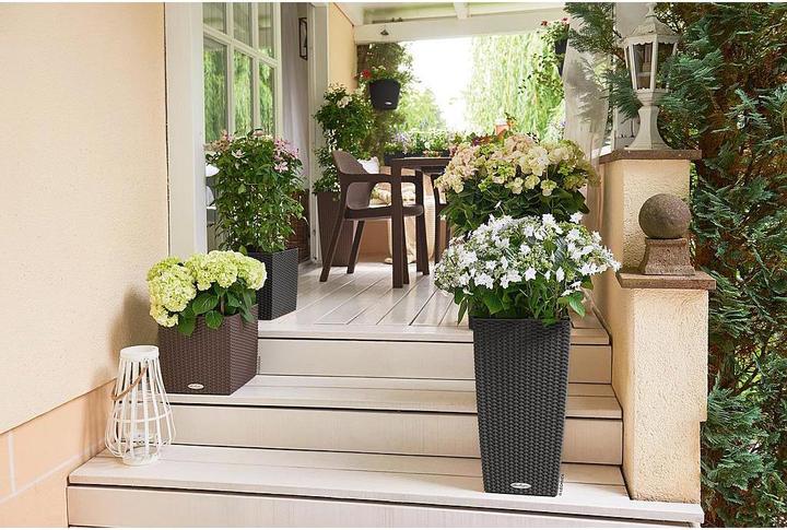 Actual product image Lechuza Cubico Cottage (39.50 cm)