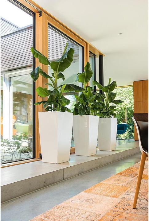 Produktbild Lechuza Cubico (50 cm)