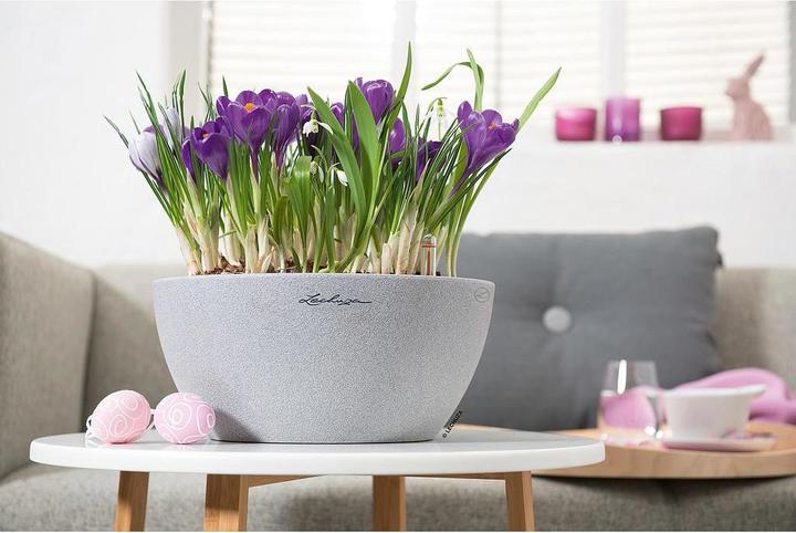 Produktbild Lechuza Cubeto Color (30 x 13.50 cm)