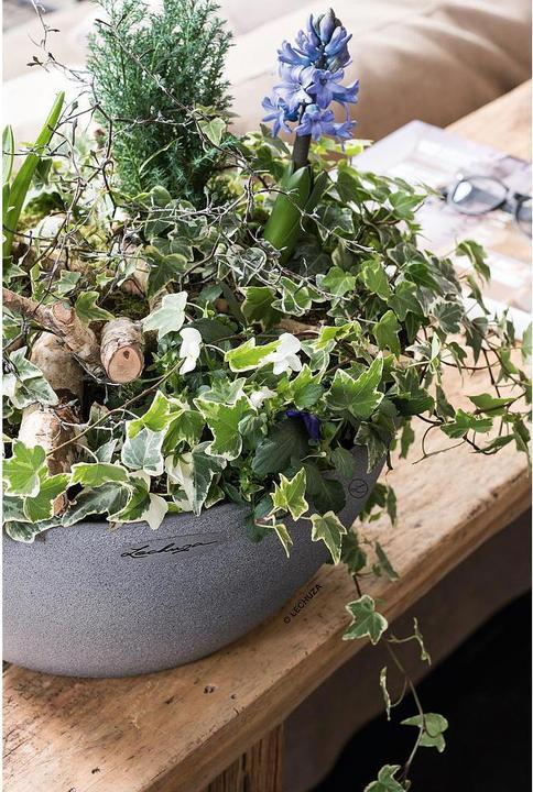 Produktbild Lechuza Cubeto Color (30 x 13.50 cm)