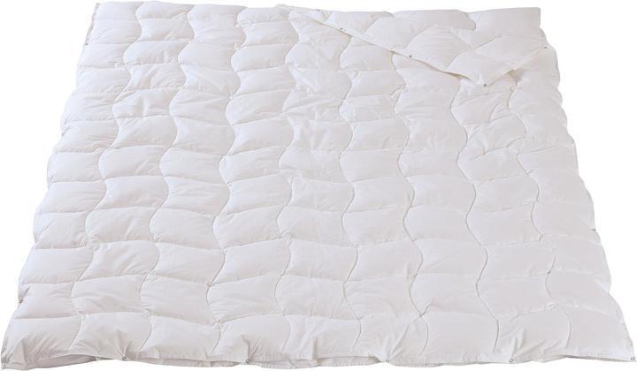 Image du produit DOR Olivia (750 g, Duvet, 200 x 210 cm)