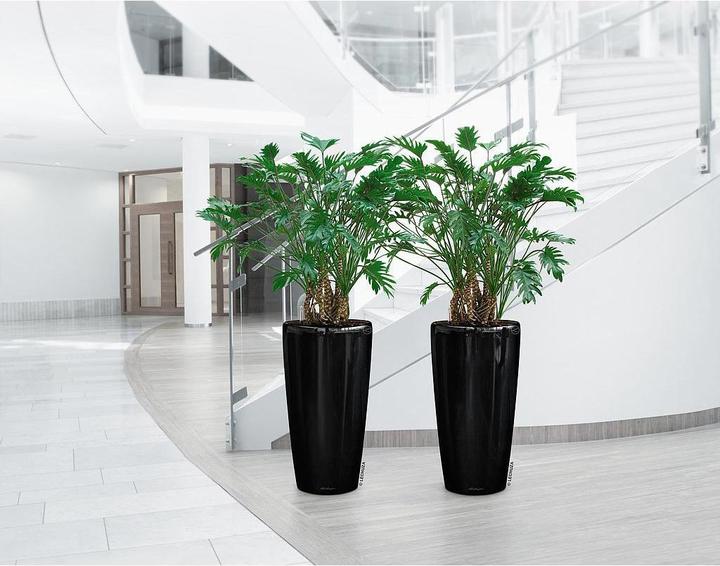 Immagine prodotto Lechuza Rondo (40 x 75 cm)