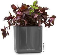Actual product image Lechuza Cube Glossy 16 (16 cm)