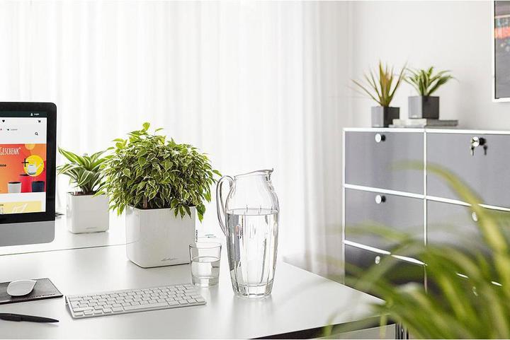 Produktbild Lechuza Cube Glossy 16 (16 x 16 x 16 cm)