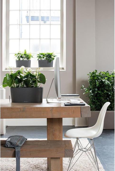 Produktbild Lechuza Delta (40 x 15 x 18 cm)