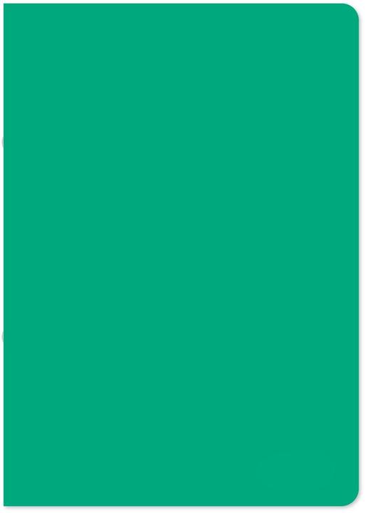 Actual product image Staufen PP ring binder A4 17mm dark green (A4, 17 mm, 1 Piece)