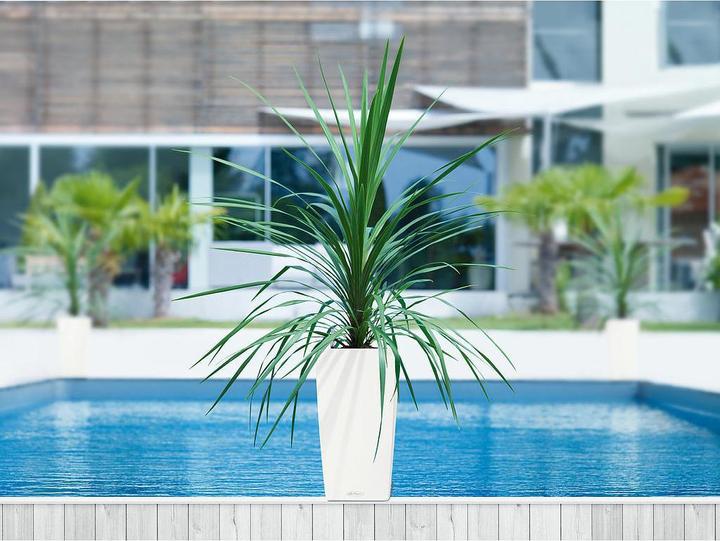 Produktbild Lechuza Cubico Color (29.50 cm)