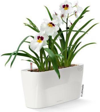 Produktbild Lechuza Delta (40 x 15 x 18 cm)