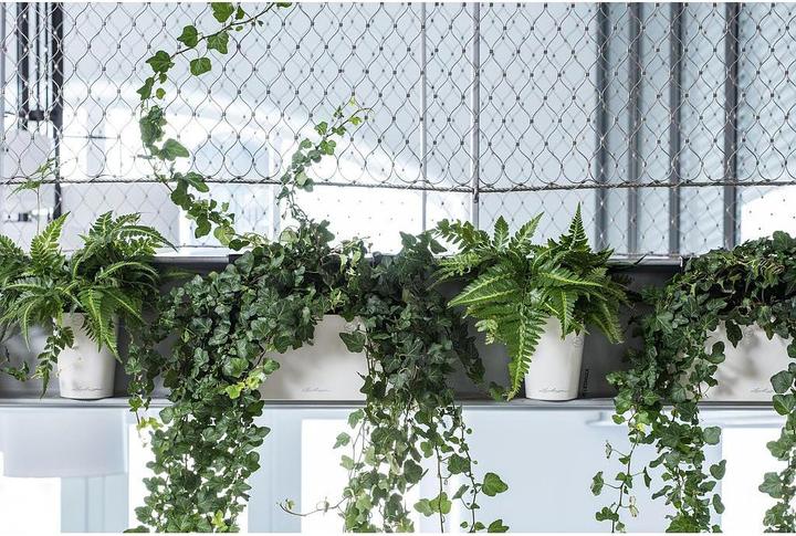 Produktbild Lechuza Delta (40 x 15 x 18 cm)