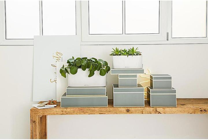 Produktbild Lechuza Delta (40 x 15 x 18 cm)