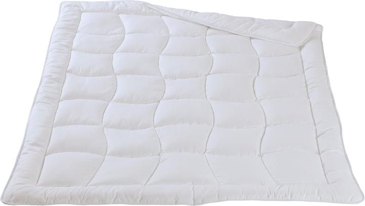 Image du produit DOR Acaena (2140 g, Polyester, 240 x 240 cm)